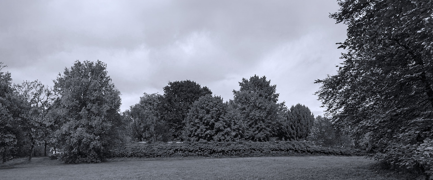 Landschaft · Vorher-Nachher