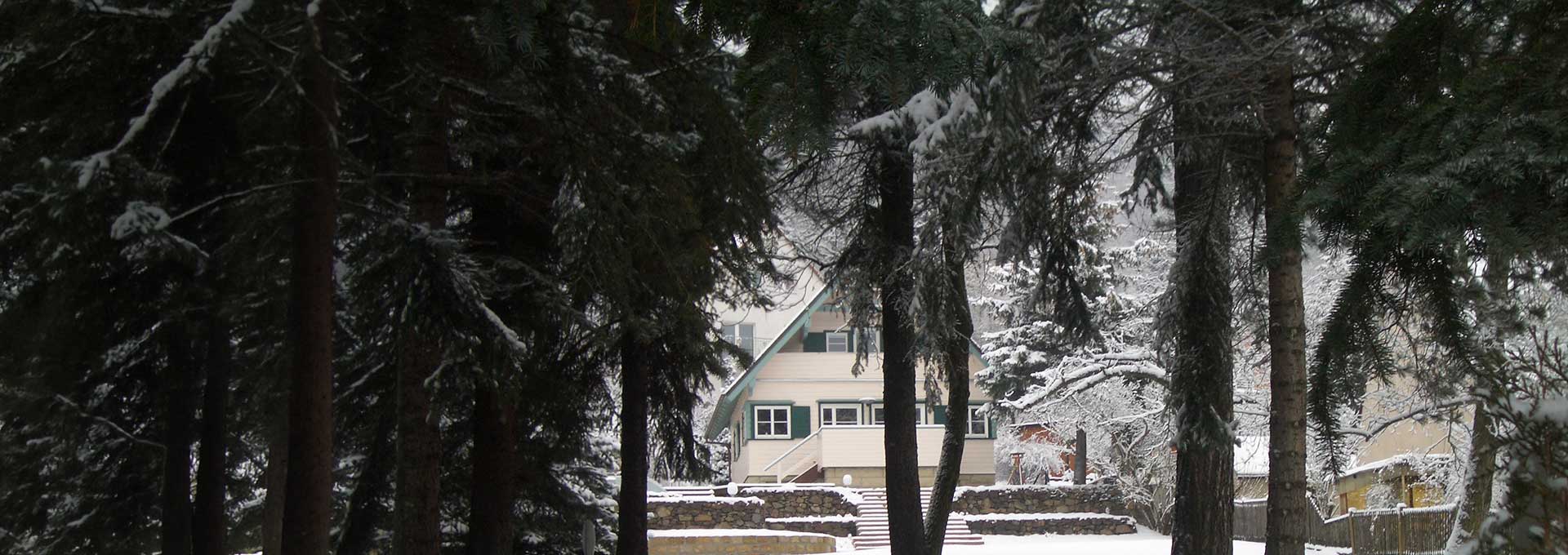 Haus im Grünen · Slider Holzhaus mit steilem Dach zwischen hohen Bäumen